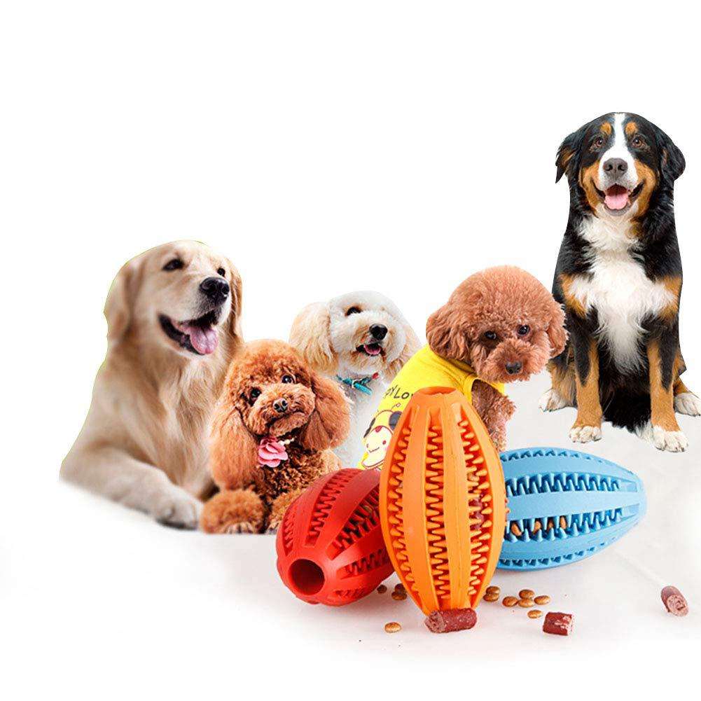 Kunststoff-Hundefutterball