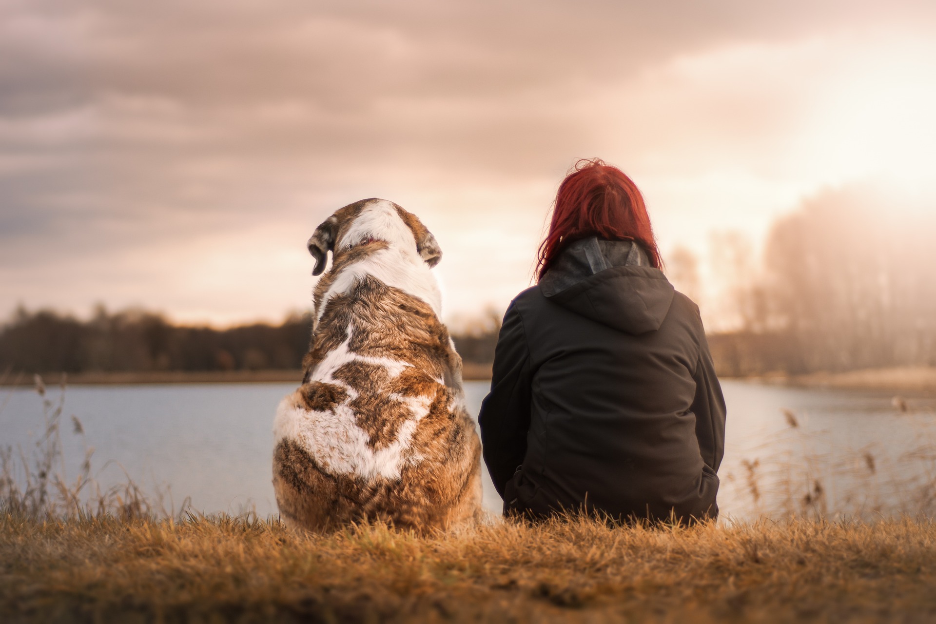 “Herbstliche Hundepflege: Tipps für die kalte Jahreszeit”