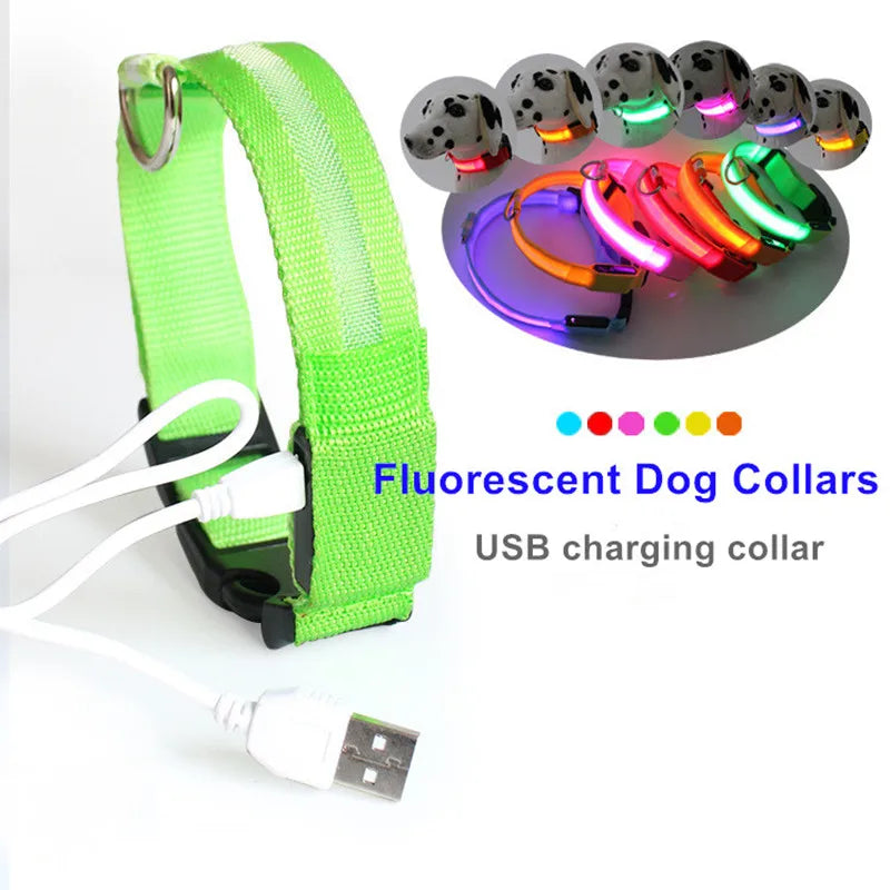 Nylon-LED-Hundehalsband